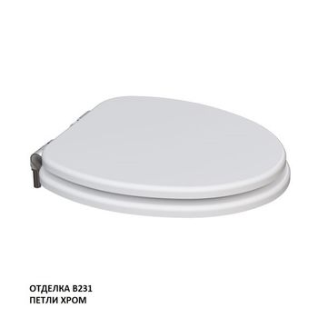 сиденье для унитаза ARMONIA с механизмом плавного закрывания, хром KFe-AC-B231 — фото 1, Сиденья для унитаза