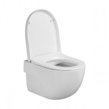 MERIDIAN Комплект 3 в 1 (инсталляции+подв. унитаз Rimless+сиденье SUPRALIT). ROCA 7893104990 — фото 7, Комплекты унитаз + инсталляция