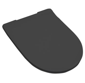 Сиденье с крышкой Artceram File 2.0 с плавным опусканием цвет черный /хром FLA014 03 — фото 1, Сиденья для унитаза