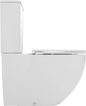 Чаша напольного унитаза Allen Brau Priority Tornado 4.31006.20 белый глянец — фото 1, Напольные унитазы