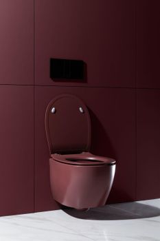 Чаша подвесного унитаза Allen Brau Fantasy 4.11004.BD бордо — фото 18, Подвесные унитазы