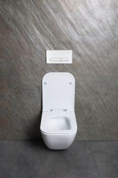 Товар: Чаша подвесного унитаза Allen Brau Liberty 4.33012.20 белый - фото 17 Чаша подвесного унитаза Allen Brau Liberty 4.33012.20 белый — фото 17, Подвесные унитазы