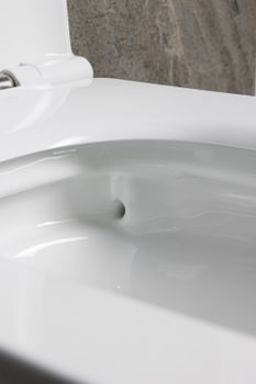 Товар: Чаша подвесного унитаза Allen Brau Liberty 4.33012.20 белый - фото 22 Чаша подвесного унитаза Allen Brau Liberty 4.33012.20 белый — фото 22, Подвесные унитазы