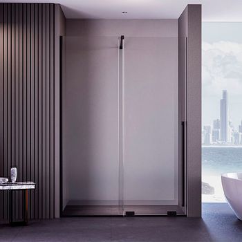 Душевая дверь Veconi Premium Trento PTDW-50B, 1200x2000, черный матовый, стекло прозрачное PTDW-50B-120-01-C4 — фото 2, Душевые двери в нишу