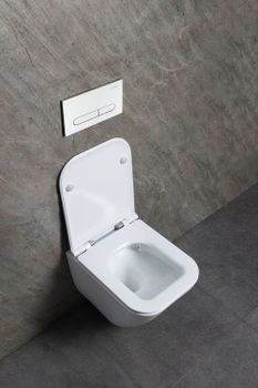 Товар: Чаша подвесного унитаза Allen Brau Liberty 4.33012.20 белый - фото 13 Чаша подвесного унитаза Allen Brau Liberty 4.33012.20 белый — фото 13, Подвесные унитазы