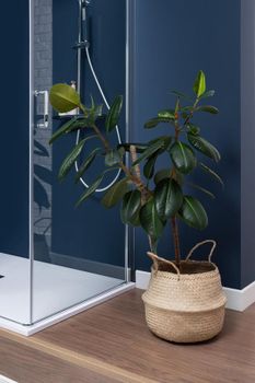 Душевая дверь Aquanet Cinetic AE12-N-120H190U-CT 1200, прозрачное стекло — фото 8, Душевые двери в нишу