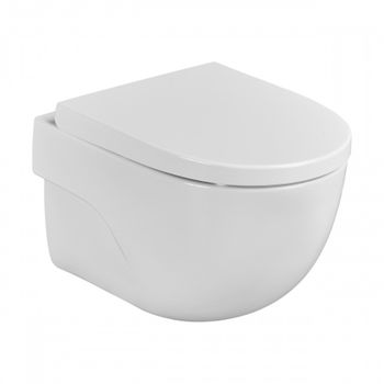 MERIDIAN Комплект 3 в 1 (инсталляции+подв. унитаз Rimless+сиденье SUPRALIT). ROCA 7893104990 — фото 6, Комплекты унитаз + инсталляция