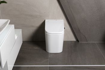 Товар: Унитаз-компакт LEMARK (SATOFSHFS2) - фото 12 Унитаз-компакт LEMARK (SATOFSHFS2) — фото 12, Напольные унитазы