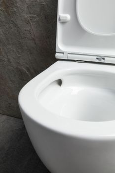 Чаша подвесного унитаза Allen Brau Priority Tornado 4.31008.20 белый глянец — фото 8, Подвесные унитазы