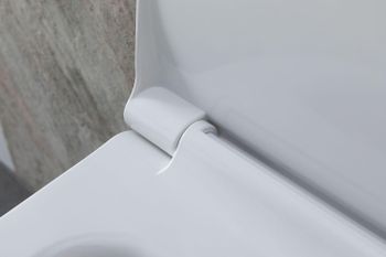 Товар: Чаша подвесного унитаза Allen Brau Priority 4.31002.20 белый глянец - фото 35 Чаша подвесного унитаза Allen Brau Priority 4.31002.20 белый глянец — фото 35, Подвесные унитазы