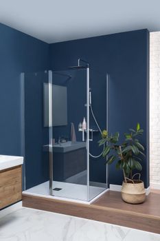 Душевая дверь Aquanet Cinetic AE12-N-120H190U-CT 1200, прозрачное стекло — фото 5, Душевые двери в нишу