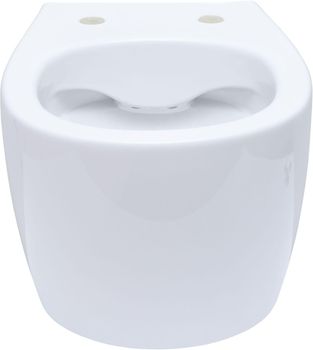 Унитаз Allen Brau Fantasy 4.11004.20 подвесной Белый без сиденья — фото 1, Подвесные унитазы