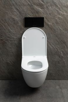 Чаша подвесного унитаза Allen Brau Priority Tornado 4.31008.20 белый глянец — фото 10, Подвесные унитазы