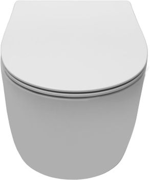 Чаша подвесного унитаза Allen Brau Fantasy 4.11004.21 белый матовый — фото 1, Подвесные унитазы