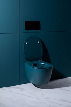 Чаша подвесного унитаза Allen Brau Fantasy 4.11004.PT петроль — фото 24, Подвесные унитазы