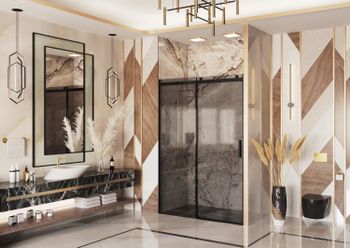 Дверь в нишу Ambassador Benefit 19022204HBB (150х200) черный,стекло тонированное,раздвижная,1 место — фото 1, Душевые двери в нишу