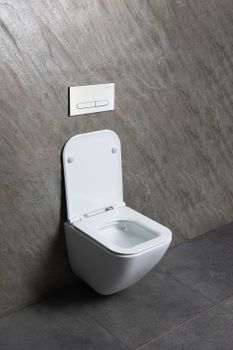 Товар: Чаша подвесного унитаза Allen Brau Liberty 4.33012.20 белый - фото 15 Чаша подвесного унитаза Allen Brau Liberty 4.33012.20 белый — фото 15, Подвесные унитазы