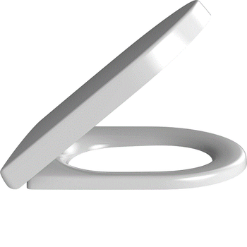 Товар: Сиденье для унитаза, Villeroy&Boch, с крышкой, ширина, мм-850, глубина, мм-420, высота, мм-185, тип шарниров-SoftClose, Quick Release, материал шарниров-нержавеющая сталь, цвет шарниров-нержавеющая сталь, декор-без декора, цвет-альпийский белый 98M9C101 - фото 1 Сиденье для унитаза, Villeroy&Boch, с крышкой, ширина, мм-850, глубина, мм-420, высота, мм-185, тип шарниров-SoftClose, Quick Release, материал шарниров-нержавеющая сталь, цвет шарниров-нержавеющая сталь, декор-без декора, цвет-альпийский белый 98M9C101 — фото 1, Сиденья для унитаза