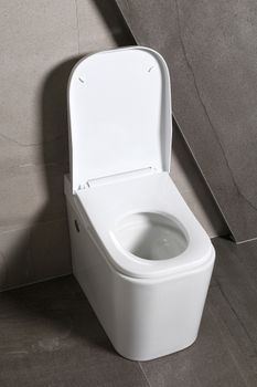 Товар: Унитаз-компакт LEMARK (SATOFSHFS2) - фото 11 Унитаз-компакт LEMARK (SATOFSHFS2) — фото 11, Напольные унитазы