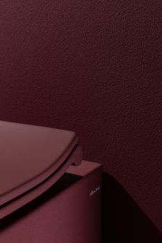 Чаша подвесного унитаза Allen Brau Fantasy 4.11004.BD бордо — фото 15, Подвесные унитазы