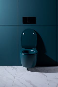 Чаша подвесного унитаза Allen Brau Fantasy 4.11004.PT петроль — фото 21, Подвесные унитазы