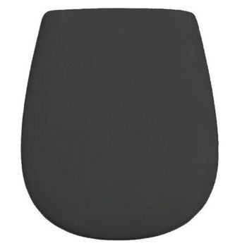 Сиденье с крышкой Artceram Azuley с плавным опусканием цвет черный матовый AZA001 17 71 — фото 1, Сиденья для унитаза