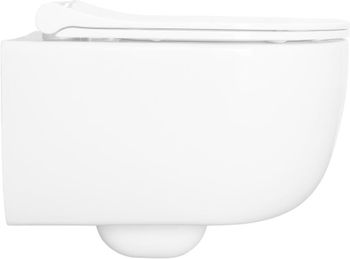 Товар: Чаша подвесного унитаза Allen Brau Priority 4.31002.20 белый глянец - фото 10 Чаша подвесного унитаза Allen Brau Priority 4.31002.20 белый глянец — фото 10, Подвесные унитазы