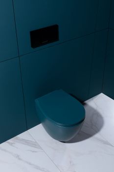 Чаша подвесного унитаза Allen Brau Fantasy 4.11004.PT петроль — фото 26, Подвесные унитазы