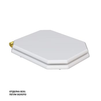 сиденье для унитаза TEMPO-47 с механизмом плавного закрывания, золото KFe-47G-B231 — фото 1, Сиденья для унитаза