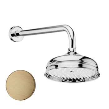 Верхний душ Webert AC0014065, бронза — фото 1, Верхние души