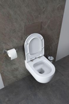 Товар: Чаша подвесного унитаза Allen Brau Priority 4.31002.20 белый глянец - фото 22 Чаша подвесного унитаза Allen Brau Priority 4.31002.20 белый глянец — фото 22, Подвесные унитазы