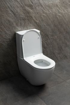 Чаша напольного унитаза Allen Brau Priority Tornado 4.31006.20 белый глянец — фото 8, Напольные унитазы