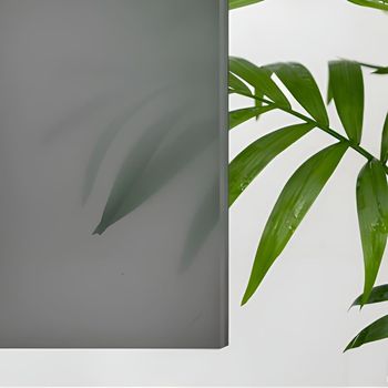 Душевая дверь RGW CL-13B 1500 06091315-34 — фото 1, Душевые двери в нишу