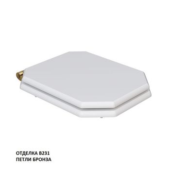 сиденье для унитаза TEMPO-47 с механизмом плавного закрывания, бронза KFe-47B-B231 — фото 1, Сиденья для унитаза