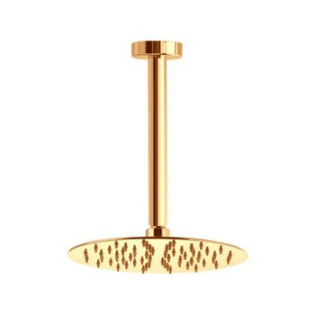 Верхний душ Webert AC0945010, черный — фото 1, Верхние души