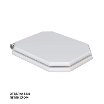 сиденье для унитаза TEMPO-47 с механизмом плавного закрывания, хром KFe-47C-B231 — фото 1, Сиденья для унитаза