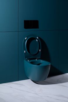 Чаша подвесного унитаза Allen Brau Fantasy 4.11004.PT петроль — фото 25, Подвесные унитазы