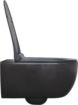 Унитаз Allen Brau Priority 4.31001.AN подвесной Антрацит без сиденья — фото 1, Подвесные унитазы