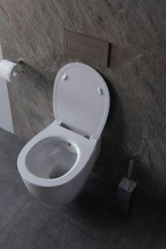 Крышка-сиденье для унитаза Allen Brau Fantasy Smartfix, Soft-Close 4.11005.20 белый глянец — фото 19, Сиденья для унитаза