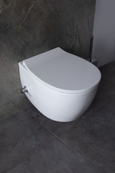 Крышка-сиденье для унитаза Allen Brau Fantasy Smartfix, Soft-Close 4.11005.20 белый глянец — фото 26, Сиденья для унитаза