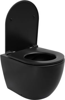 Унитаз Allen Brau Reality 4.32004.31 приставной Черный матовый без сиденья — фото 1, Приставные унитазы