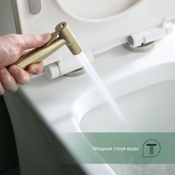 Гигиенический душ со смесителем Splenka S221.52.03, сатин золотой — фото 5, Гигиенические души